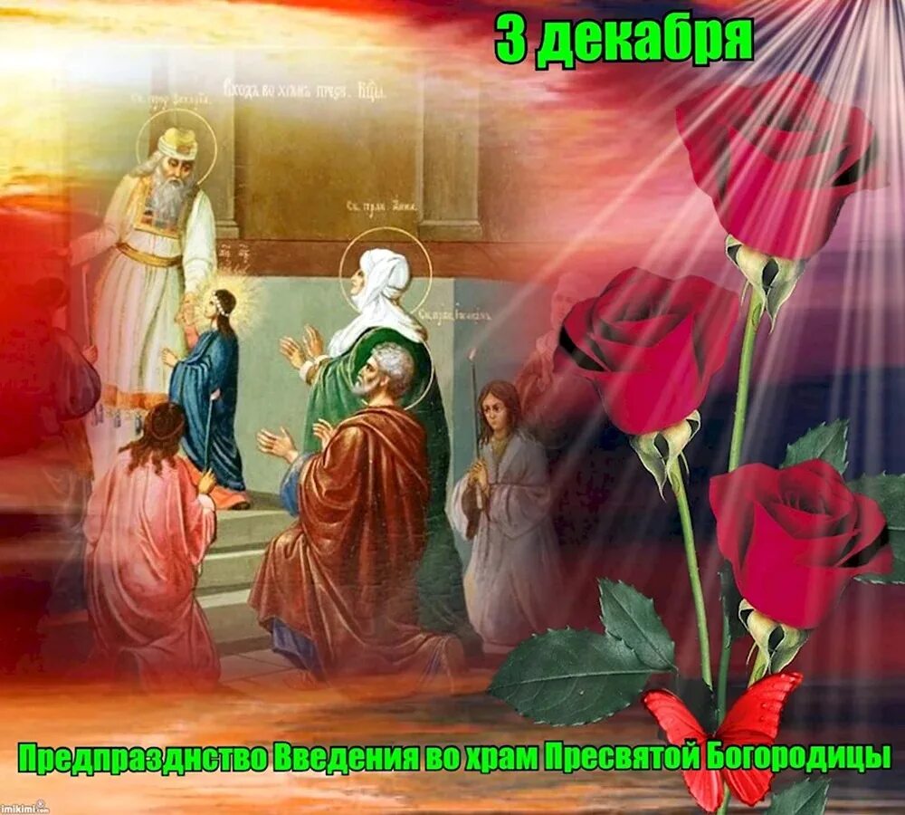 Картинка введение во храм богородицы Храм святого равноапостольного великого князя Владимира - Страница 42 из 287