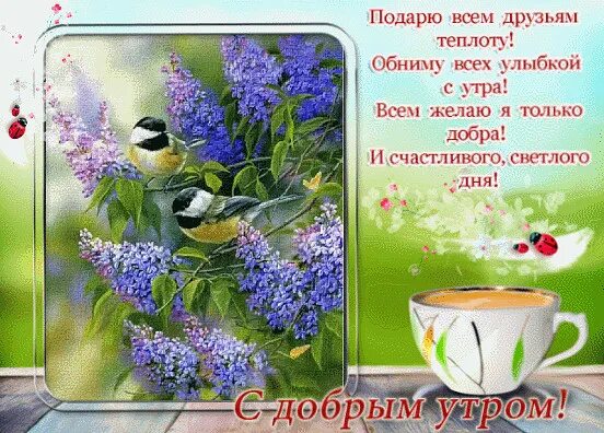 Картинка желаю добра с утра Пусть всегда будет солнце в кармане, искры в глазах и счастье в душе! OK.RU