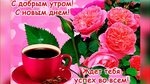 Картинка желаю добра с утра Красивые пожелания доброго утра на ватсап: найдено 86 картинок