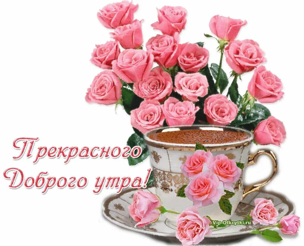 Картинка женщине хорошего утра прекрасного дня Проснулись? Доброе утро!!! Хорошего дня!!! - смотреть видео онлайн от "Музыкальн