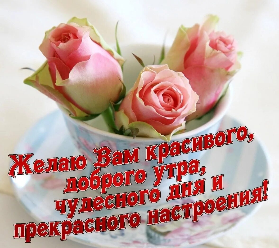 Картинка женщине хорошего утра прекрасного дня Подарите женщине цветы! - Всем учителям