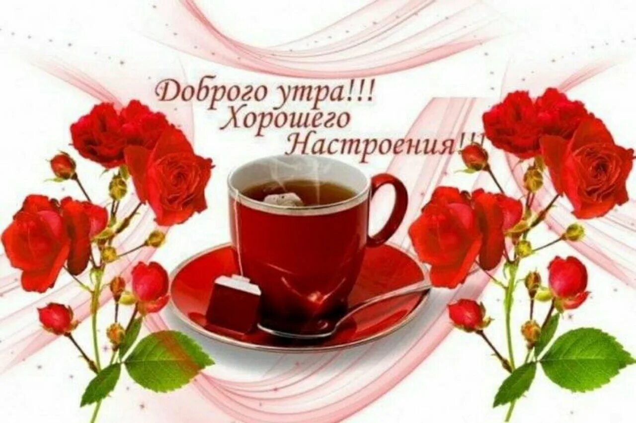 Картинка женщине хорошего утра прекрасного дня Доброго утра дня и хорошего настроения женщине: найдено 88 изображений