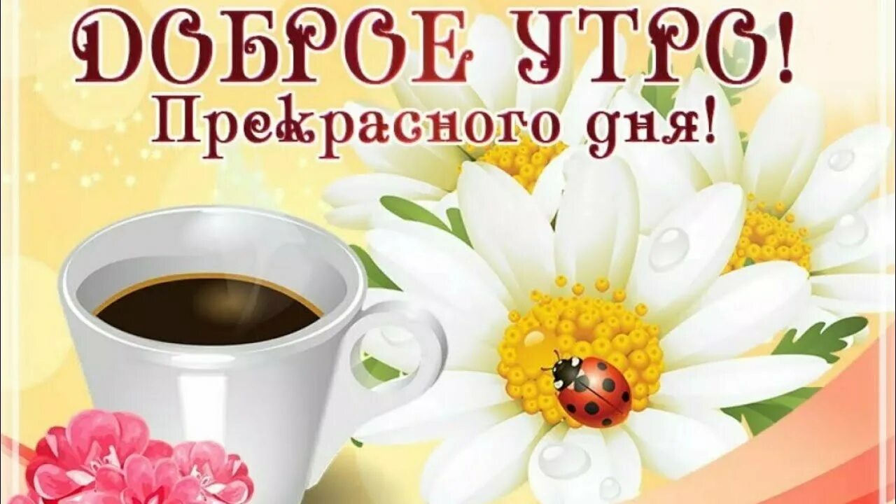Картинка женщине хорошего утра прекрасного дня Доброго Утра. Красивое Пожелание С добрым Утром - YouTube