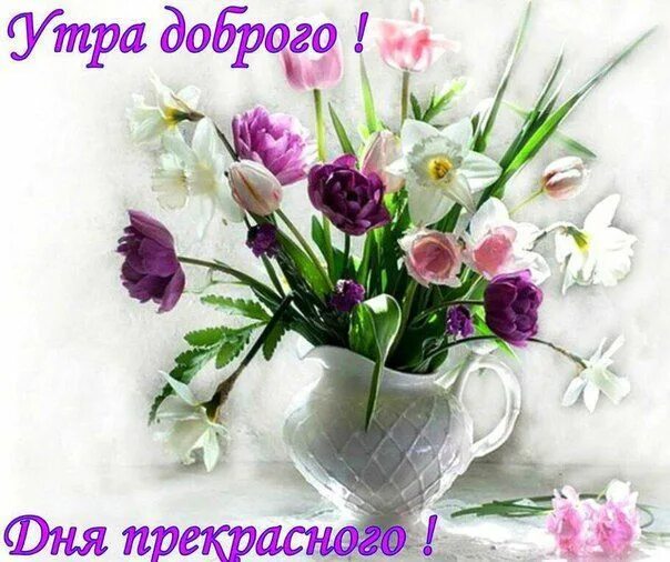 Картинка женщине хорошего утра прекрасного дня Пин на доске Доброе утро Доброе утро, Цветочные контейнеры, Праздничные открытки