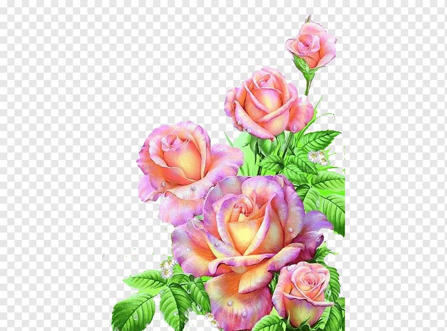 Картинка женщине с днем рождения дочери Painting Flower Floral design Art, Pink rose, watercolor Painting, flower Arrang