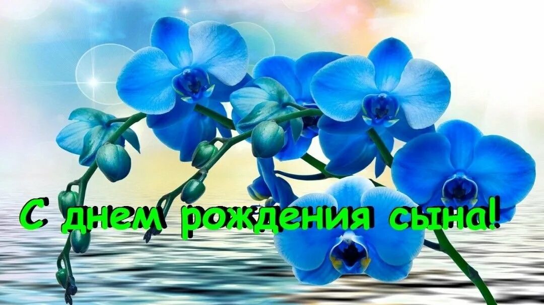 Картинка женщине с днем рождения сына Поздравления с рождением взрослого сына картинки - найдено 89 картинок