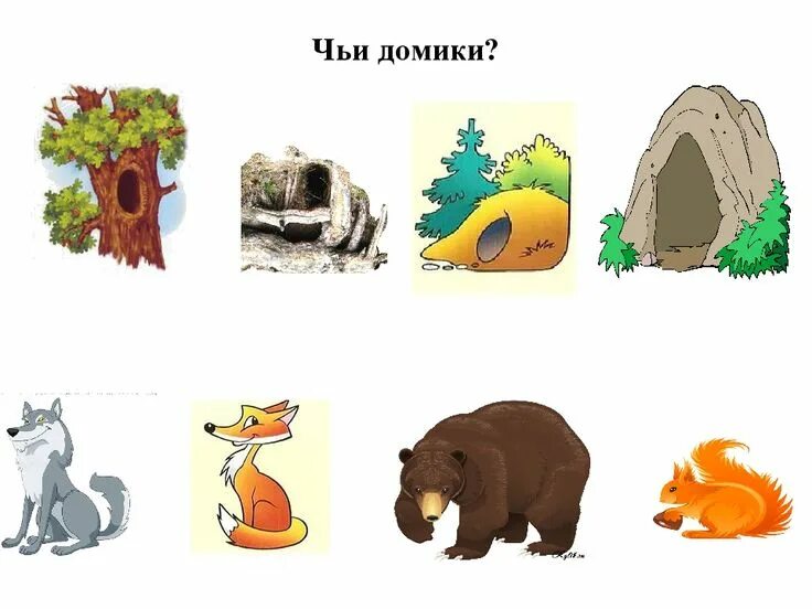 Картинка жилище диких животных Задание на дом по лексической теме "Дикие животные", в средней группе с ЗПР Дики