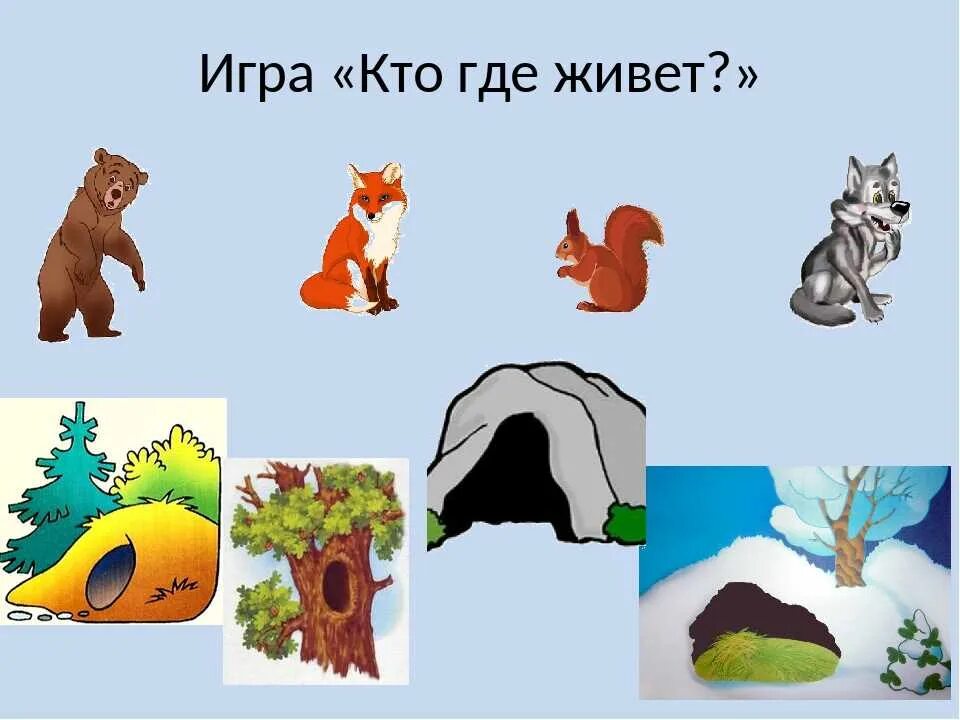 Картинка жилище диких животных Игра кто где живет старшая группа