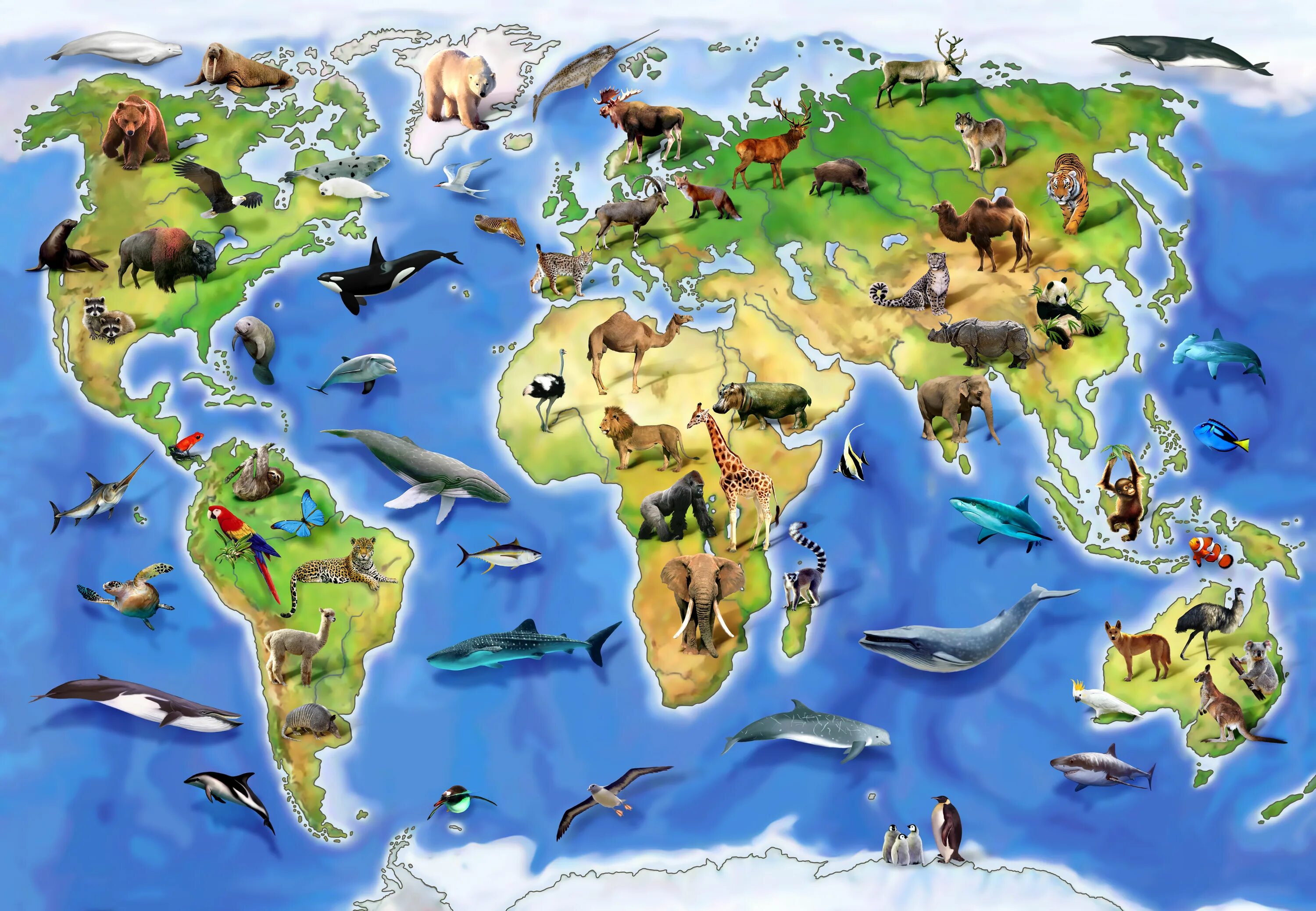 Картинка животные на земле World Animal Atlas Mural - Murals Your Way
