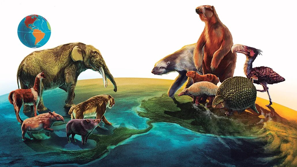 Картинка животные на земле Why ancient South American mammals may have lost out to northern kin Science New