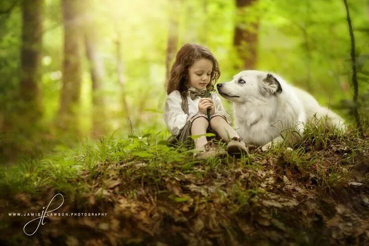 Картинка животные природа человек Photo by JamieLawsonPhotography Animal photo, Animals, Boy best friend