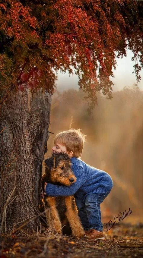 Картинка животные природа человек 14 Donne ideas in 2021 animals for kids, chicks on bikes, cute animals