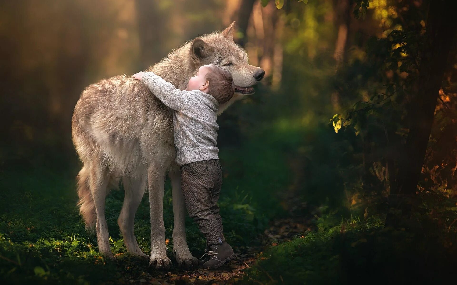 Картинка животные природа человек Pin on GOOGLE