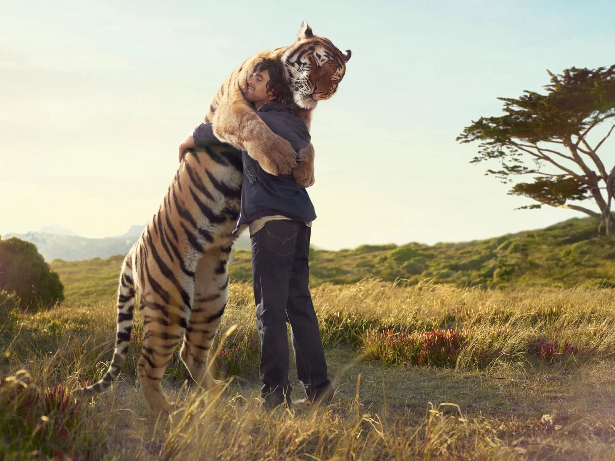 Картинка животные природа человек Found a New Travel Partner? Animals, Cute animals, Animal photo