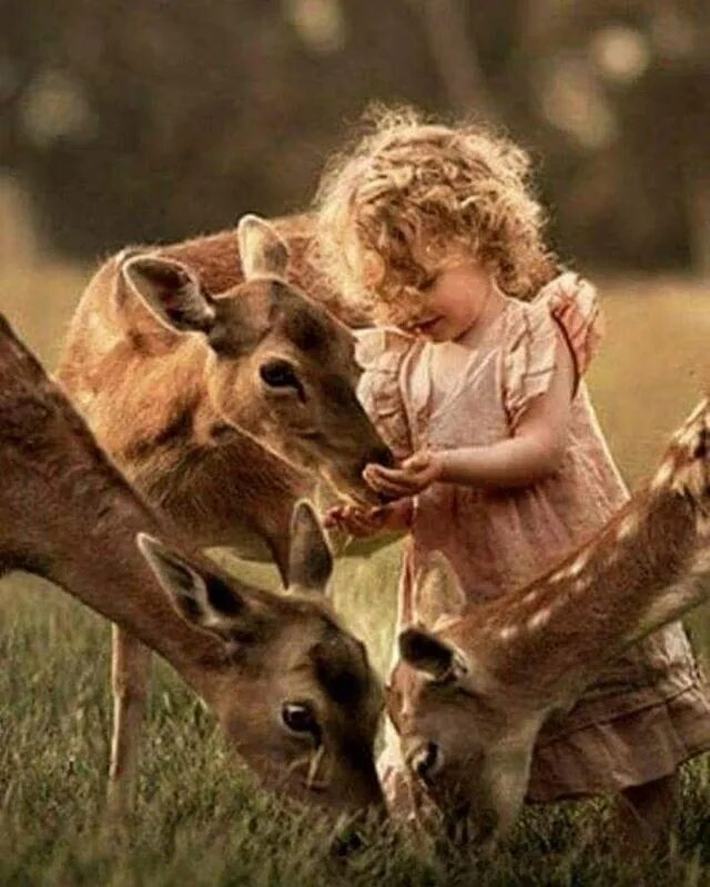 Картинка животные природа человек #naturalbeauty #bestbudz Animals beautiful, Funny animals, Pets