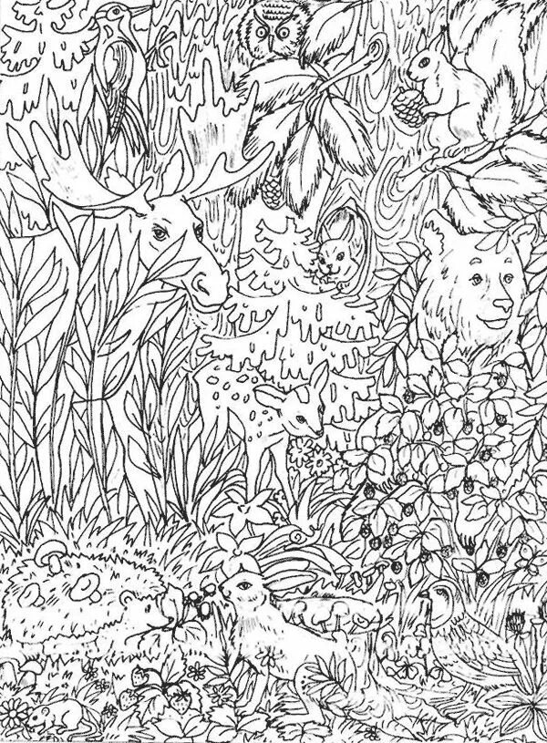 Картинка животные спрятались Pin en Wood party Libros para colorear, Libro de colores, Páginas para colorear 
