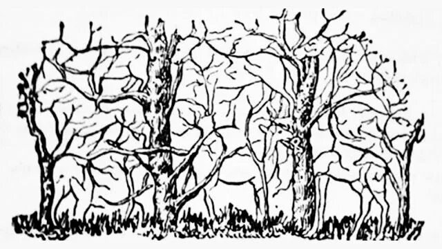 Картинка животные спрятались Discover Your Personality with this Optical Illusion Brain Test