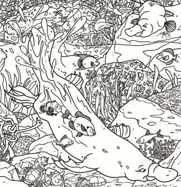 Картинка животные спрятались Today in the picture we are looking for: tadpole, chameleon, snake, turtle, gold