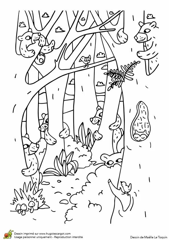 Картинка животные спрятались Cache Cache Animaux Les Ours, page 6 sur 12 sur HugoLescargot.com Coloriage, Col