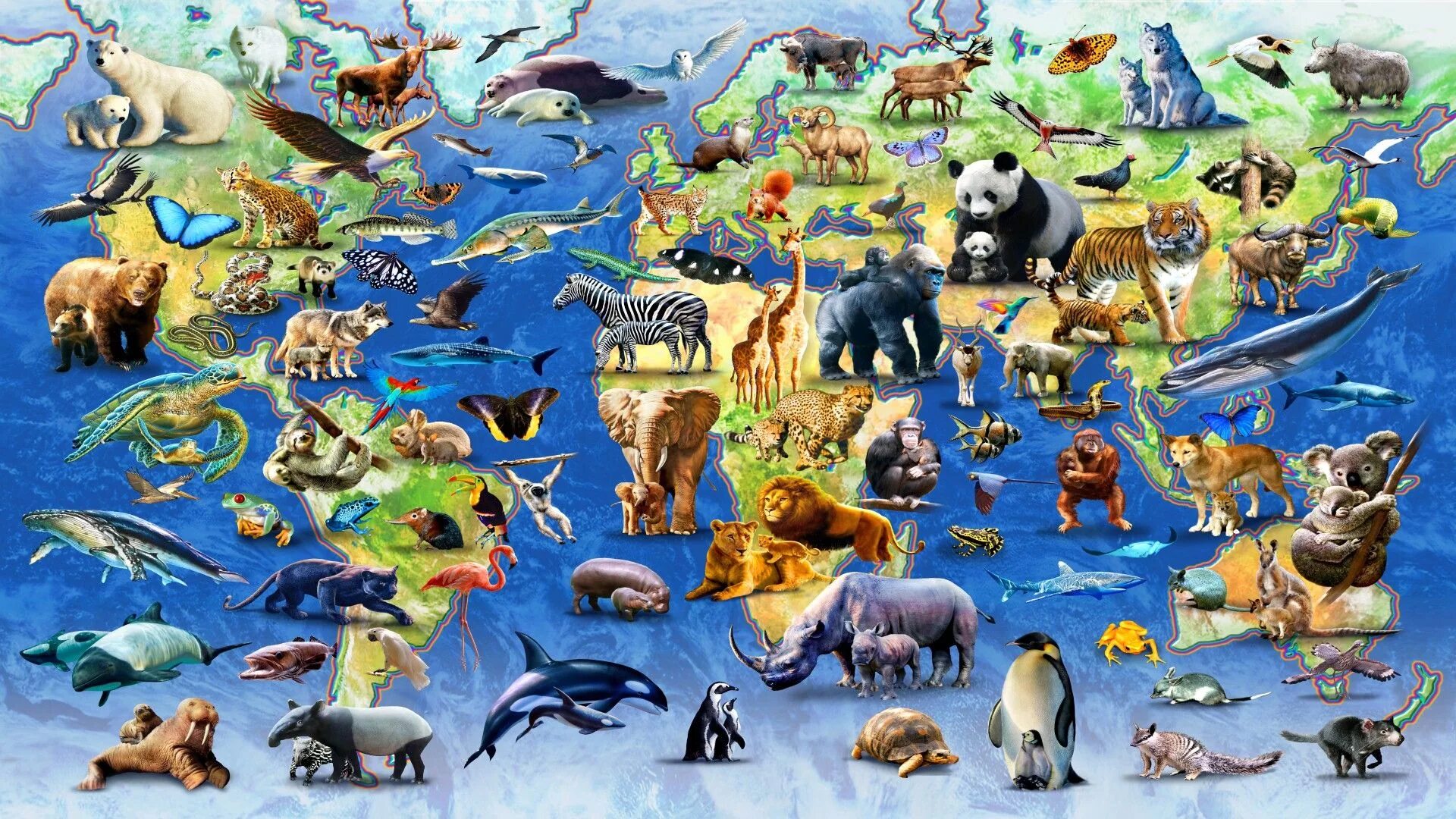 Картинка животный и растительный мир Google 3d Animals List View In Your Space