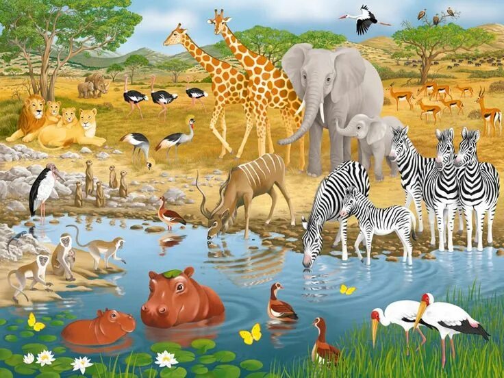 Картинка животный мир для детей Africa African animals, Animals wild, Wildlife art