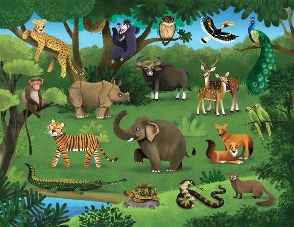 Картинка животный мир для детей Conversation Pieces on Behance Animal posters, Jungle cartoon, Environmental art