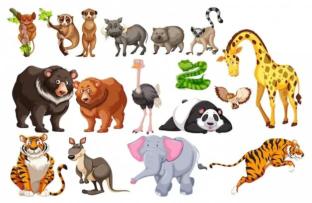Картинки 6 животных Premium Vector Many type of animals with wooden signs