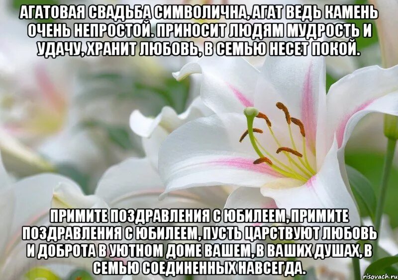 Картинки агатовая свадьба 14 Агатовая свадьба символична, Агат ведь камень очень непростой. Приносит людям му