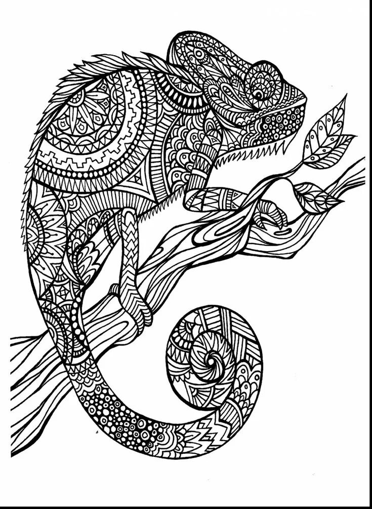 Картинки антистресс животные Adult Coloring Pages Animals - From the thousand photographs on the web about ad