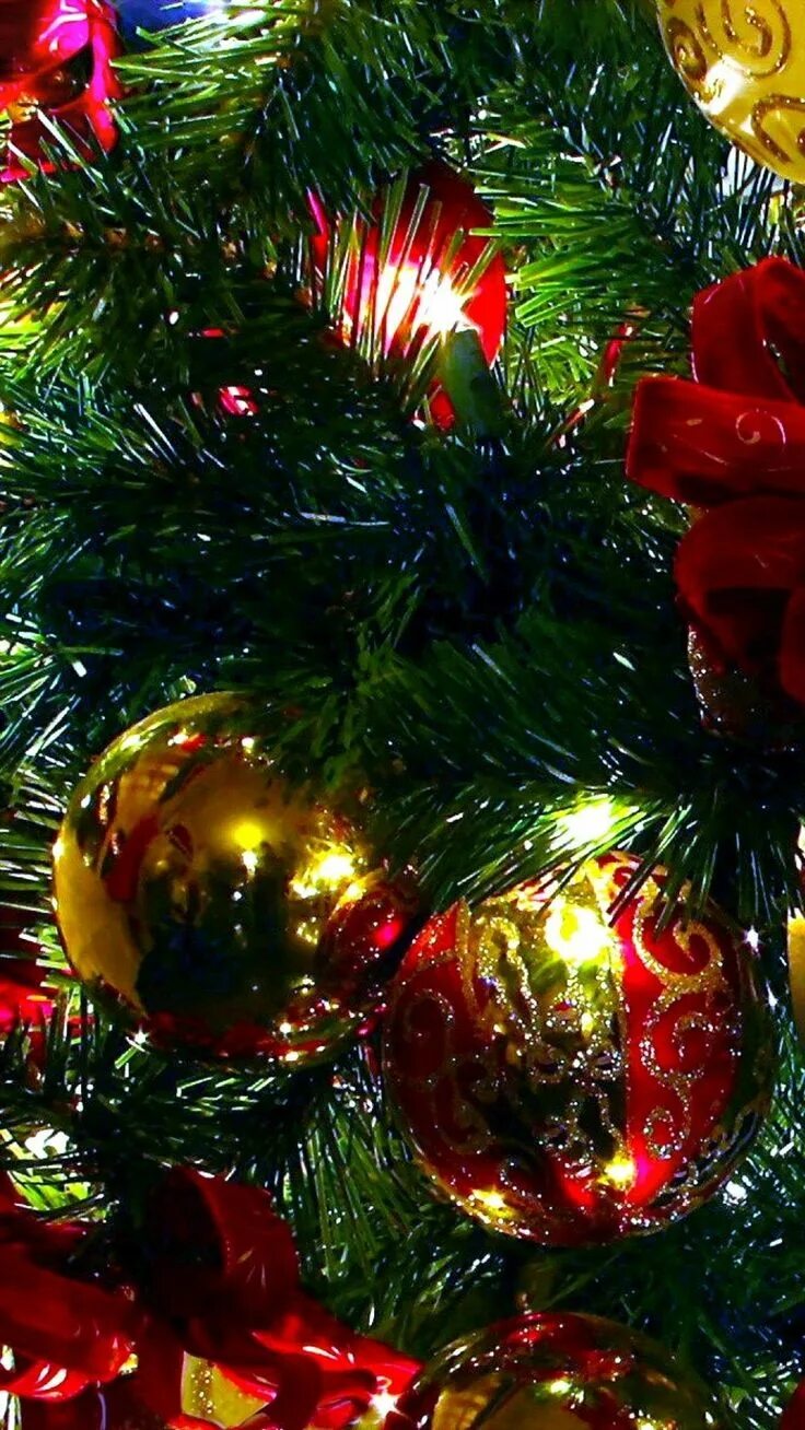 Картинки бесплатно на телефон новый год 25 Christmas Iphone Wallpapers 62F Christmas phone backgrounds, Wallpaper iphone