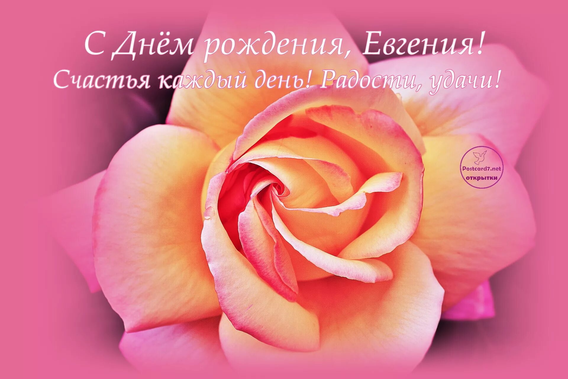 Картинки бесплатно с днем рождения евгении С рождением женя женщине картинки красивые: найдено 76 изображений