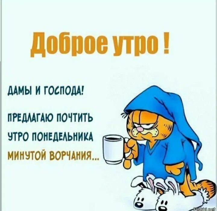 Картинки бесплатно скачать добро утро понедельника Pin von crazy bun auf приколюхи