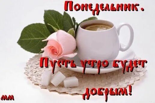 Картинки бесплатно скачать добро утро понедельника Одноклассники Доброе утро, Открытки, Понедельники