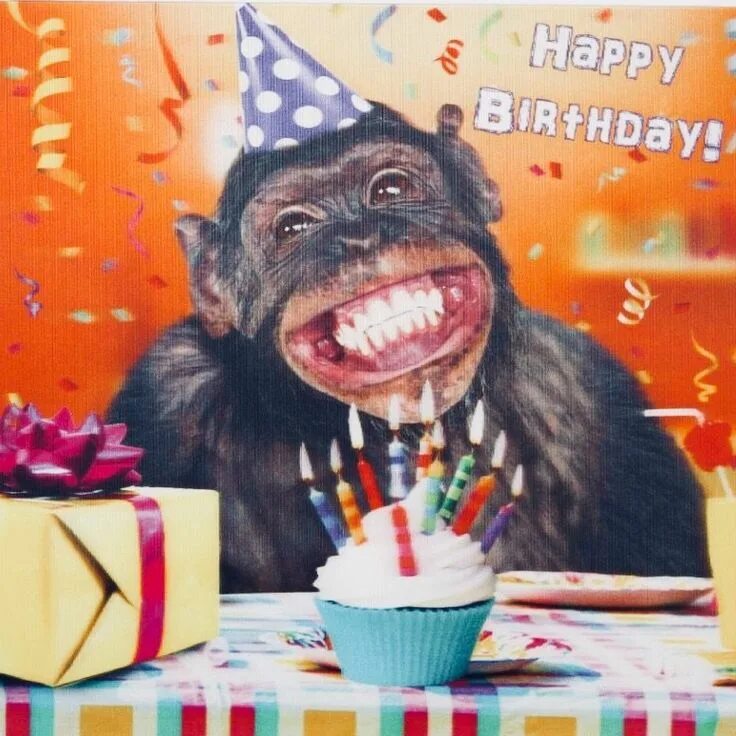 Картинки бесплатно смешные с днем рождения Pin on Ha Ha Ha in 2024 Silly happy birthday, Silly birthday wishes, Funny happy