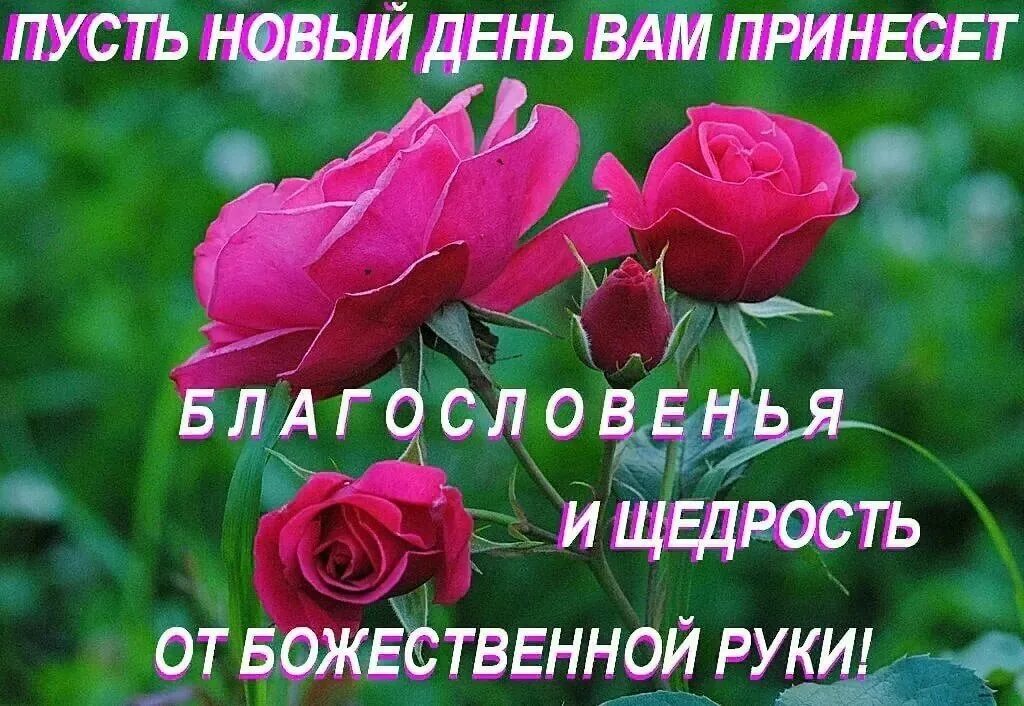 Картинки благословенного дня и хорошего настроения Доброго и благословенного дня картинки: найдено 83 изображений