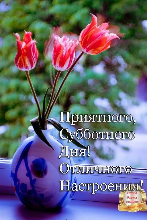 Картинки благословенного дня и хорошего настроения Новости Вдохновляющие цитаты, Вдохновляющие фразы, Христианские цитаты