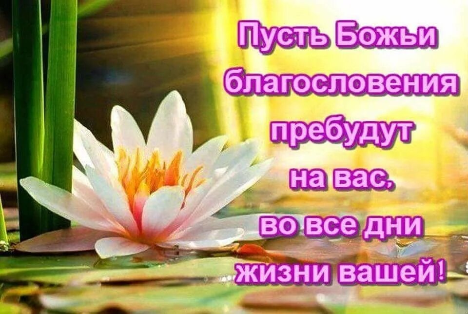 Картинки благословенного дня с пожеланиями хорошего Доброе утро божий день картинки: найдено 83 изображений