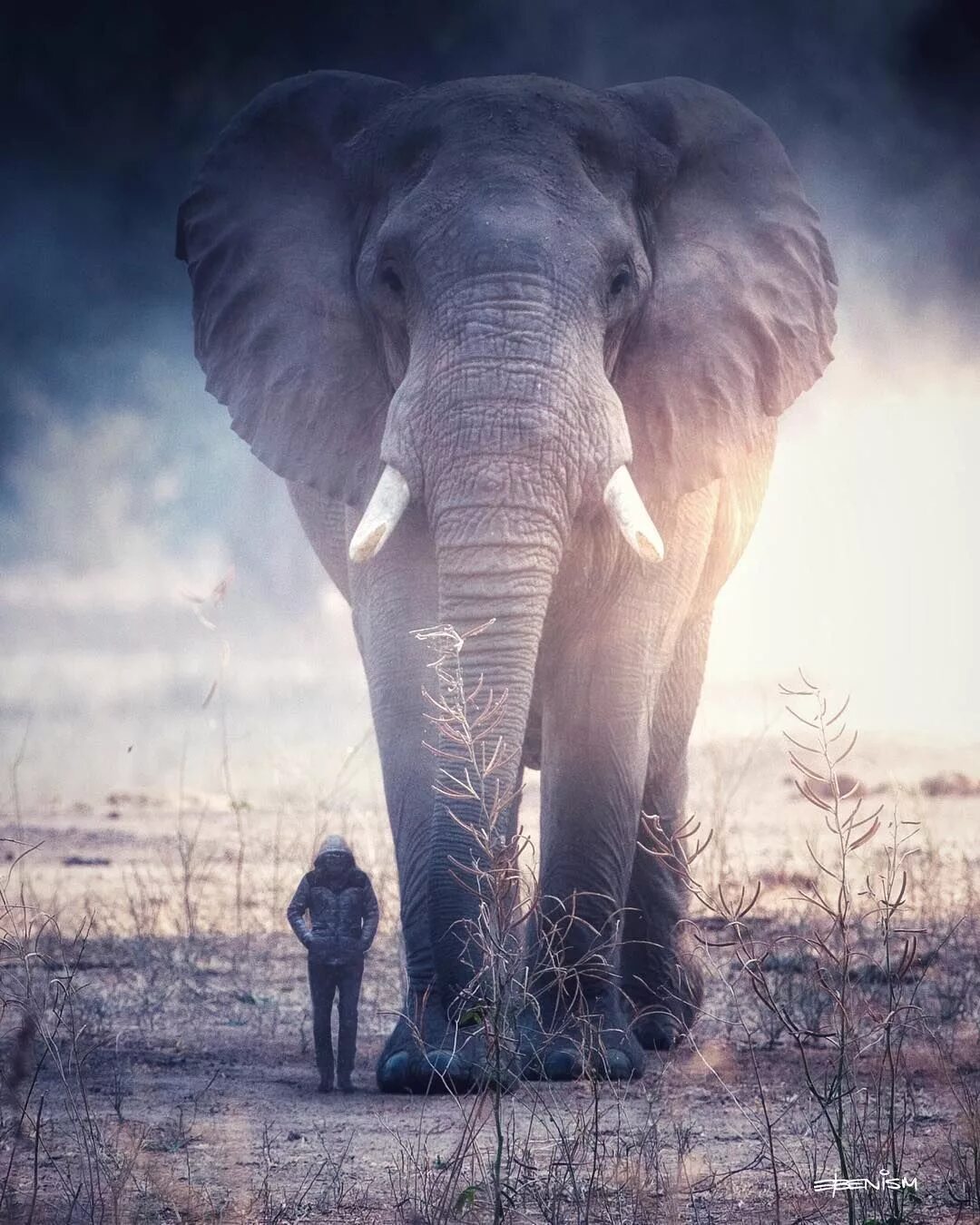 Картинки больших животных Eben McCrimmon Creates Surreal Fantasy Worlds Using Only His iPhone Giant animal