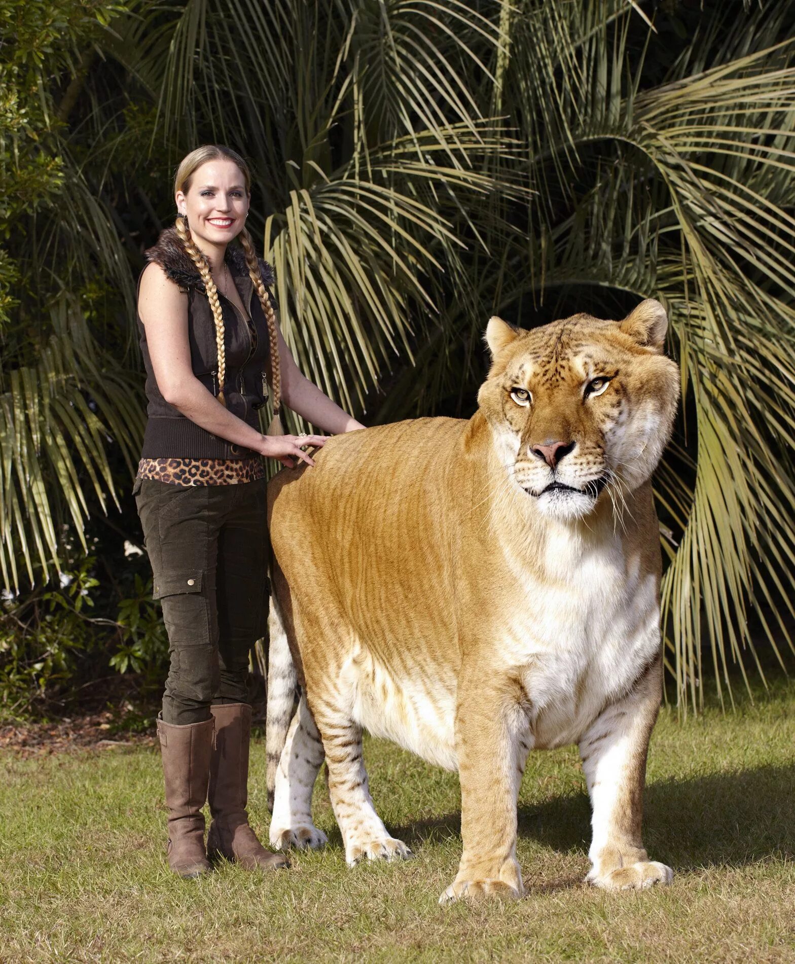 Картинки больших животных в мире Guinness World Records ® amazing animals Guinness world records, Animals, Beauti