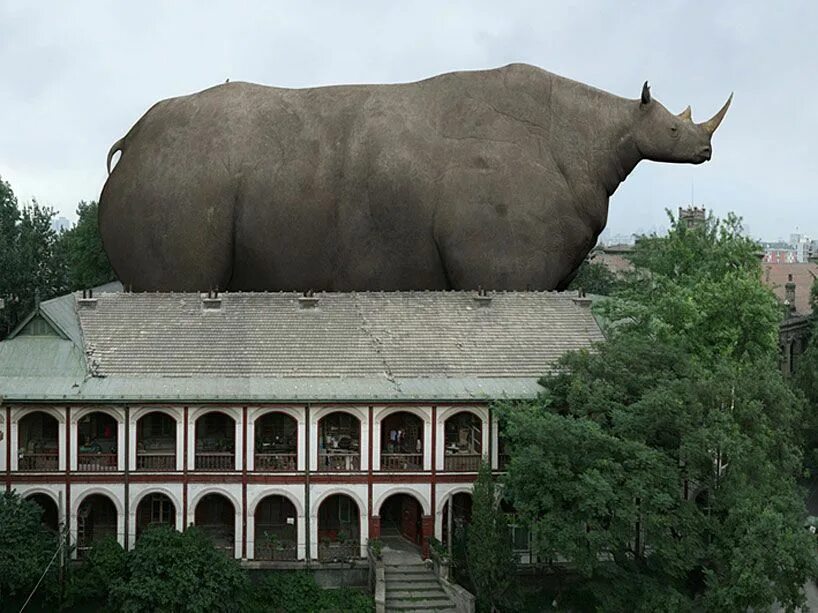 Картинки больших животных в мире di liu: animal regulation series Photoshopped animals, Animals, Giant animals