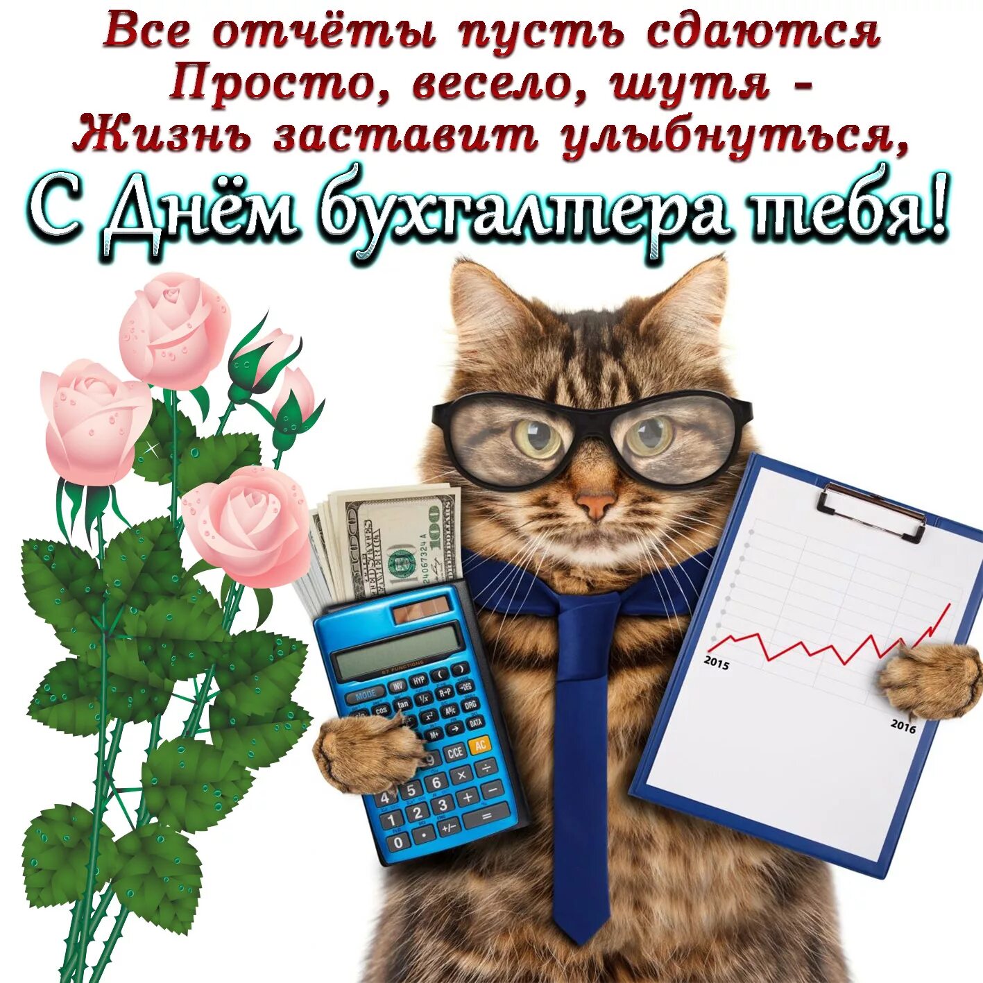 Картинки бухгалтеру с днем рождения прикольные Открытки День бухгалтера в Доме Солнца - Страница 3