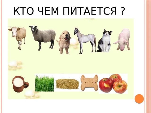 Картинки чем питаются домашние животные Домашние животные - Русский язык - Презентации - 1 класс