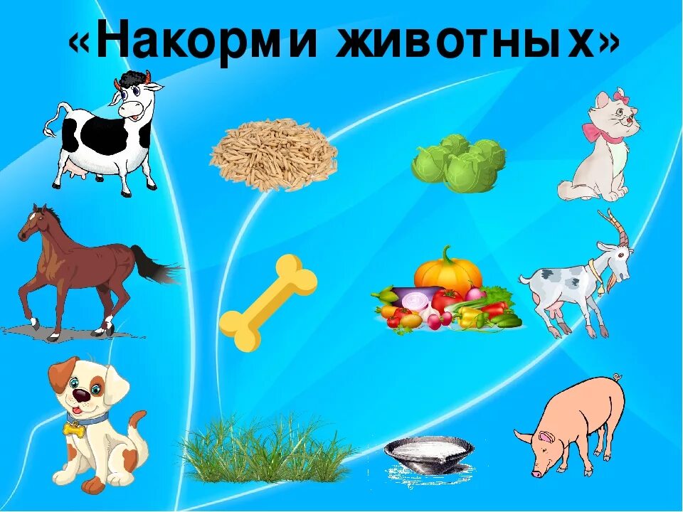 Картинки чем питаются домашние животные Формирование целостной культуры мира