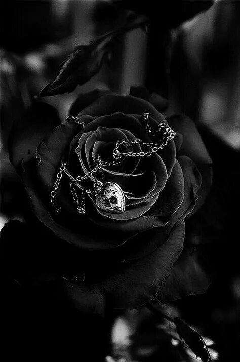 Картинки черных фото 8 Black aesthetic wallpaper ideas in 2021 black aesthetic, black aesthetic wallp