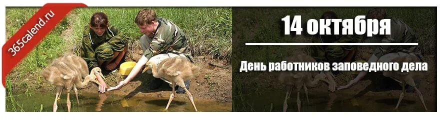 Картинки день работников заповедного дела День работников заповедного дела в 2024 году: какого числа, дата и история празд