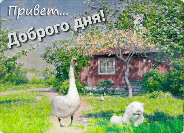 Картинки деревенские доброго дня с пожеланиями Пин от пользователя Елена на доске Добрый день Рисунки животных, Вдохновляющее и