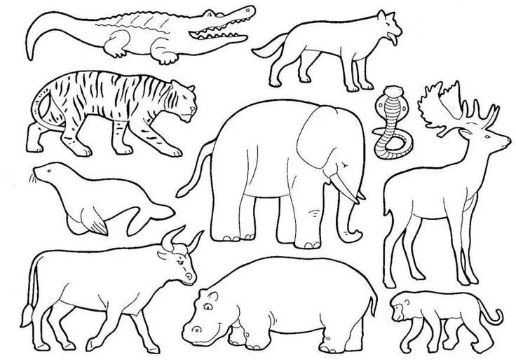 Картинки детали животные hayvanlar Coloriage animaux, Coloriage, Animaux de la savane