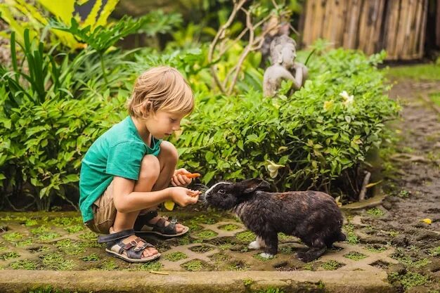 Картинки дети кормят животных Premium Photo Rabbit bunny pet with blur background animals