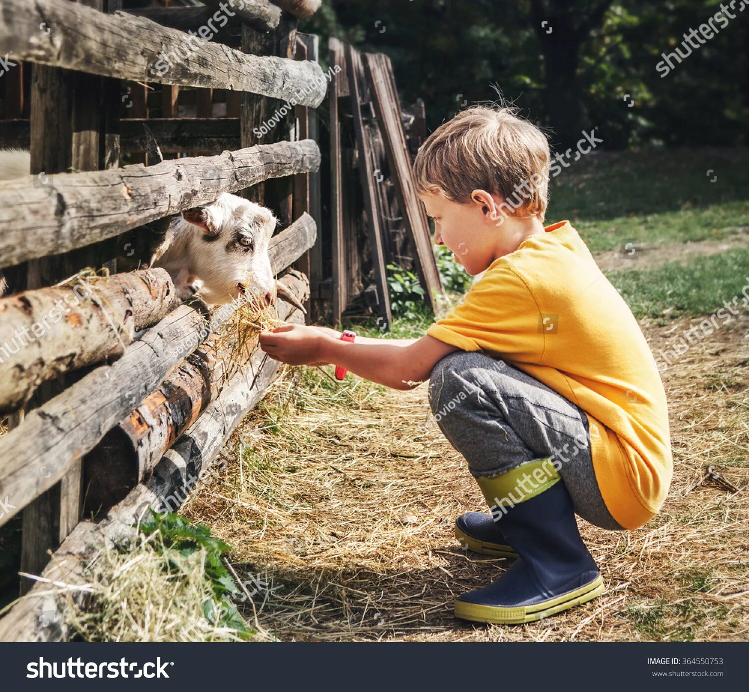 Картинки дети кормят животных Family petting zoo Images, Stock Photos & Vectors Shutterstock