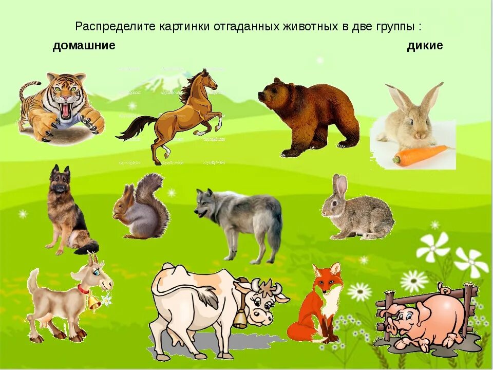 Картинки дикие и домашние животные для дошкольников Выберите животных обладающих
